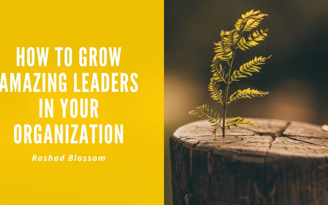 How to Grow Amazing Leaders in Your Organization